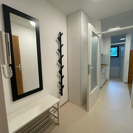 Near アパート ボーヒニ